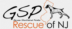 GSP Rescue NJ